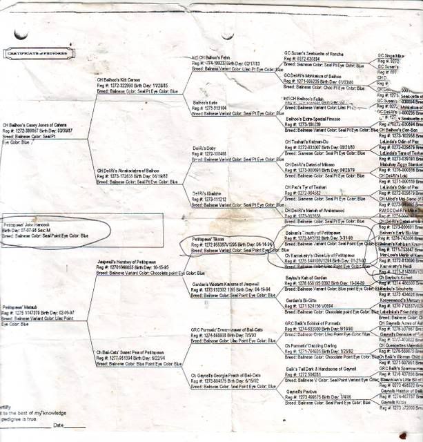 John Hancocks Family Tree!